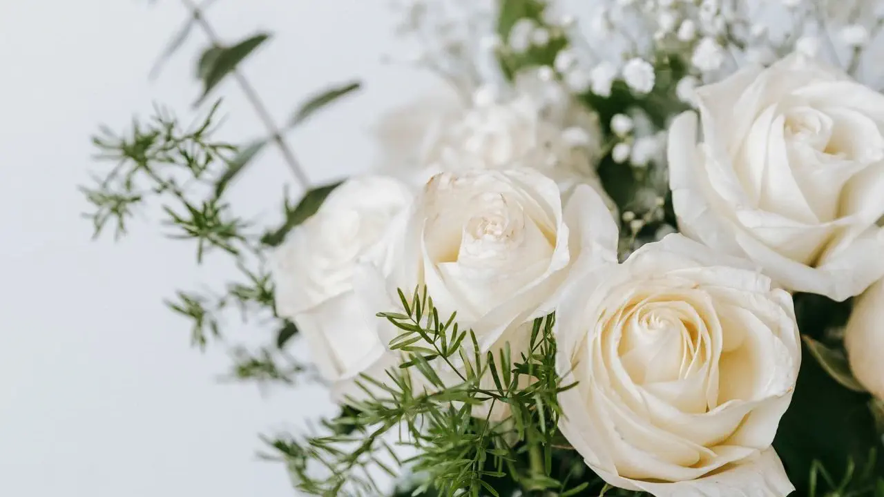 Sympathy Gifts and Memorial Contributions: How to Coordinate Support Without Adding Burden